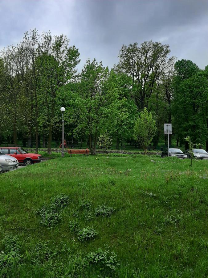 Apartament Apartament Piastowska Kamienna Gora Zewnętrze zdjęcie